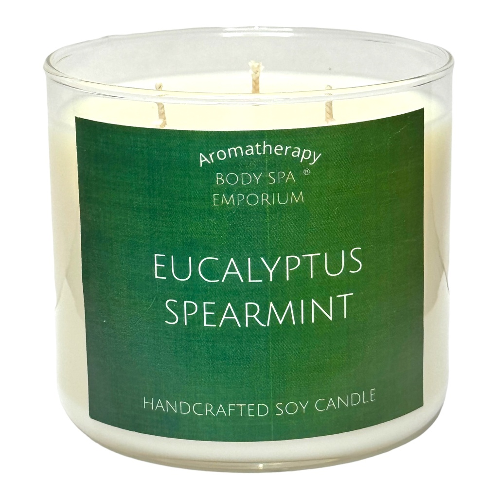 Eucalyptus Spearmint 3 Wick Soy Candle