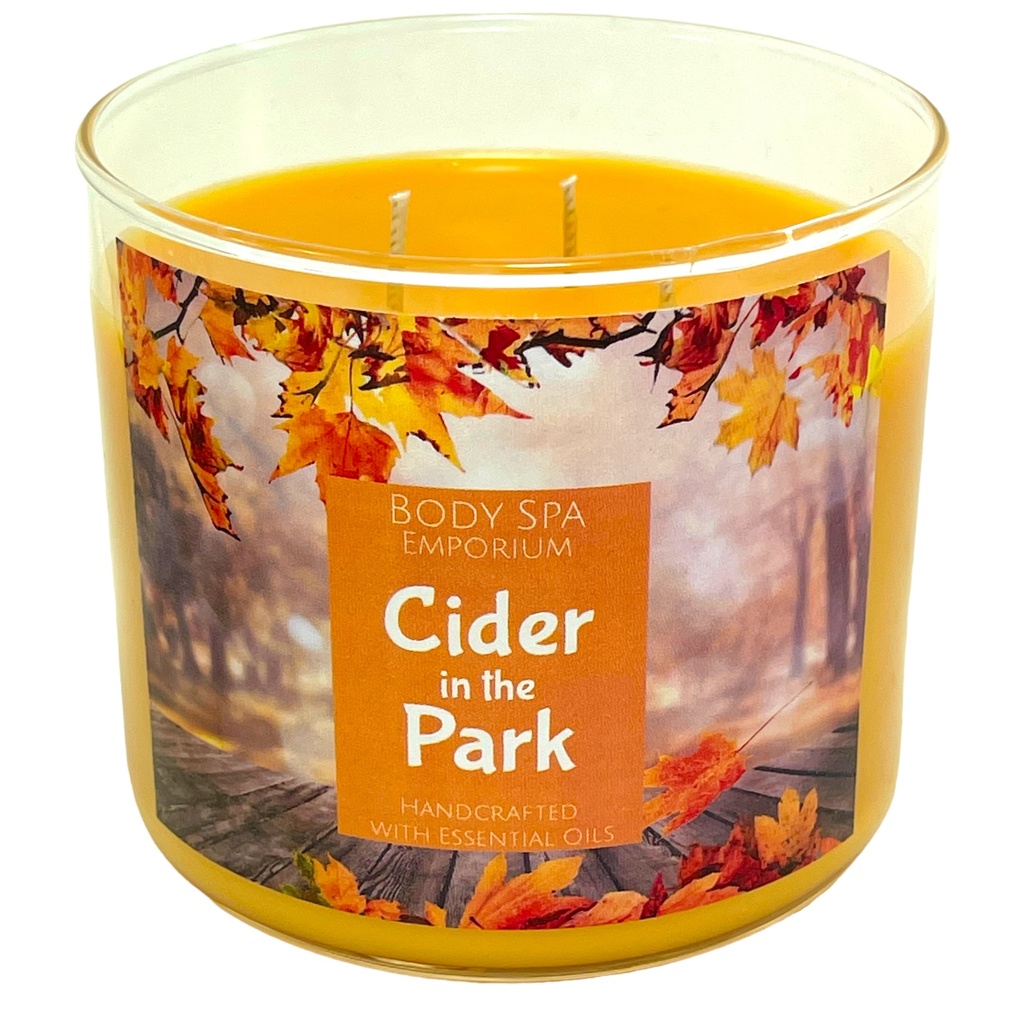 Cider In The Park 3 Wick Soy Candle