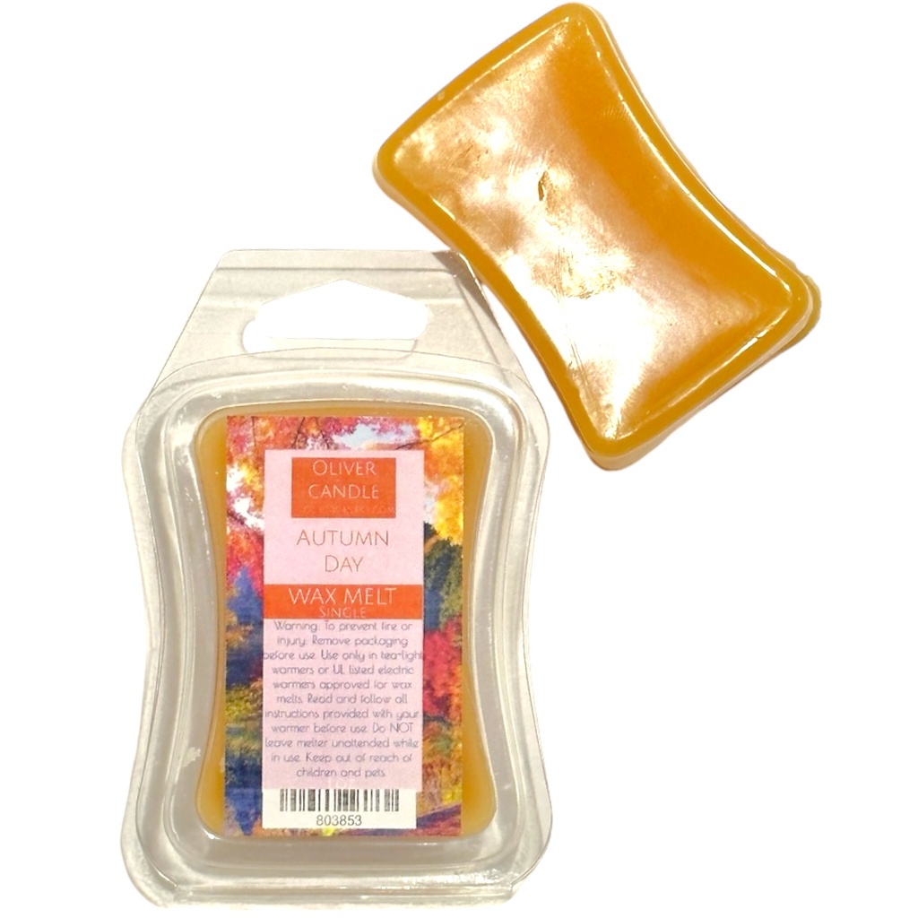 Autumn Day Wax Melt Single
