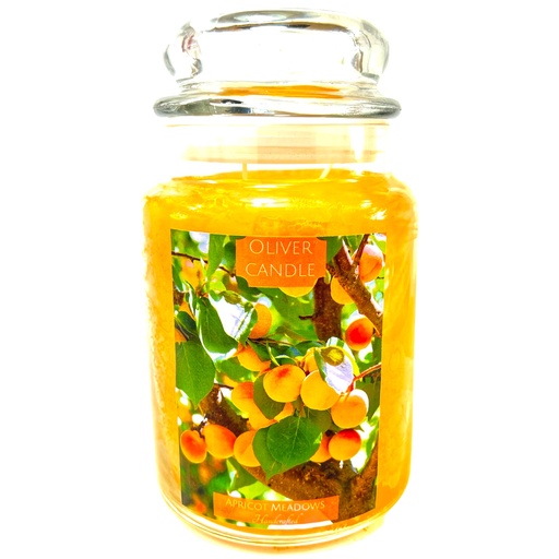 [803646] Apricot Meadows Apothecary Large Jar